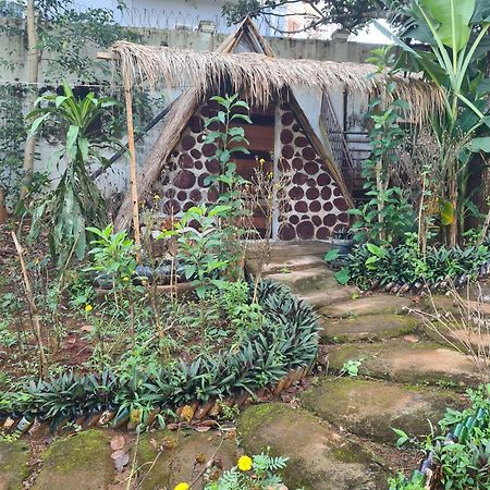 Backpacker Hostel And Jungle Trekking Banlung 外观 照片
