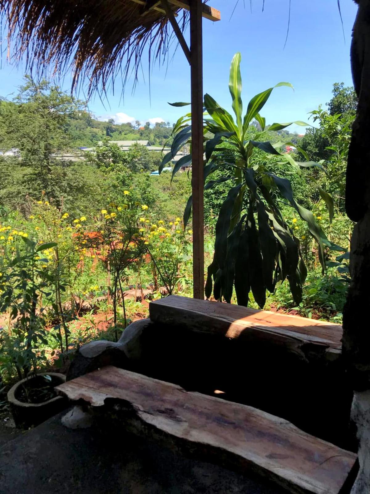 Backpacker Hostel And Jungle Trekking Banlung 外观 照片