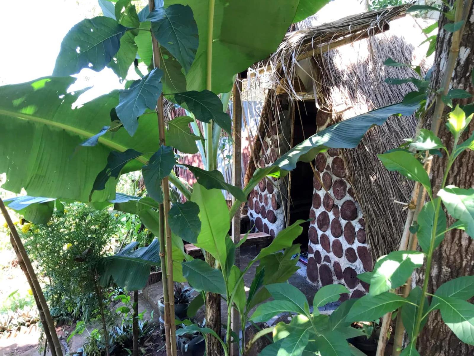 Backpacker Hostel And Jungle Trekking Banlung 外观 照片